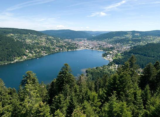 Beau Duplex A Proximite Du Lac De Gerardmer Avec Place De Parking Eksteriør bilde